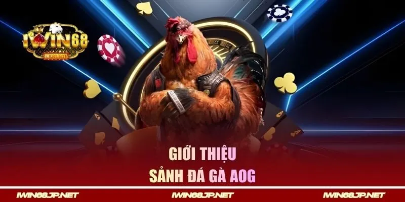 Giới thiệu sảnh đá gà AOG