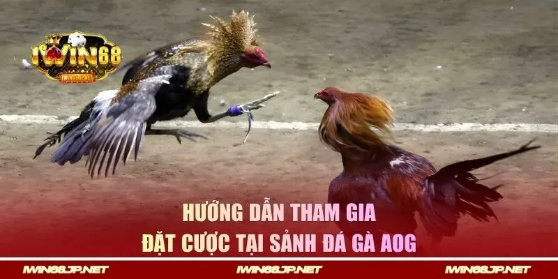 Hướng dẫn tham gia đặt cược tại IWIN68