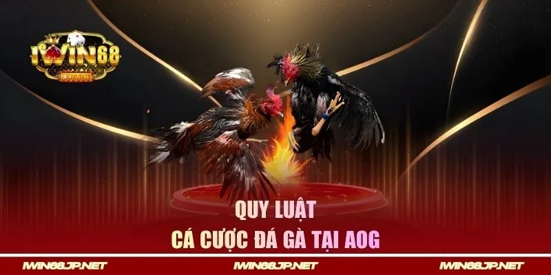 Quy luật cá cược đá gà