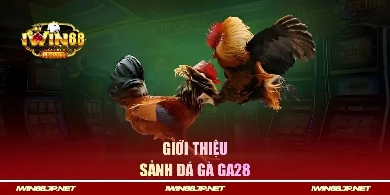 Giới thiệu sảnh đá gà GA28