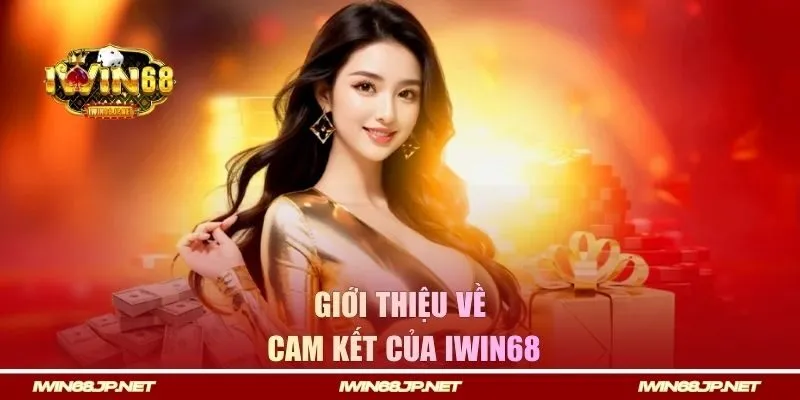Những cam kết thực tế từ Iwin68 với hội viên