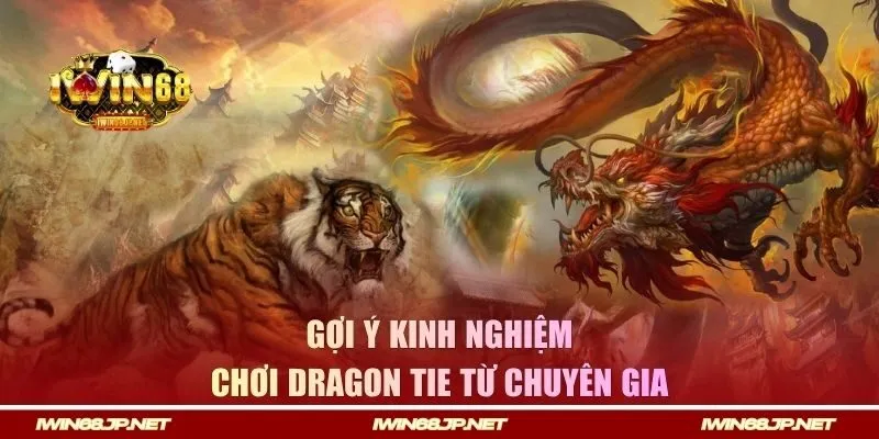 Gợi ý kinh nghiệm chơi Dragon Tie từ chuyên gia