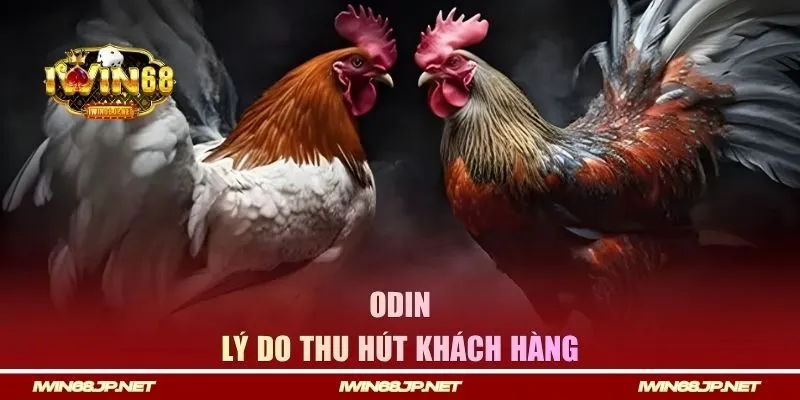 Lý do thu hút khách hàng
