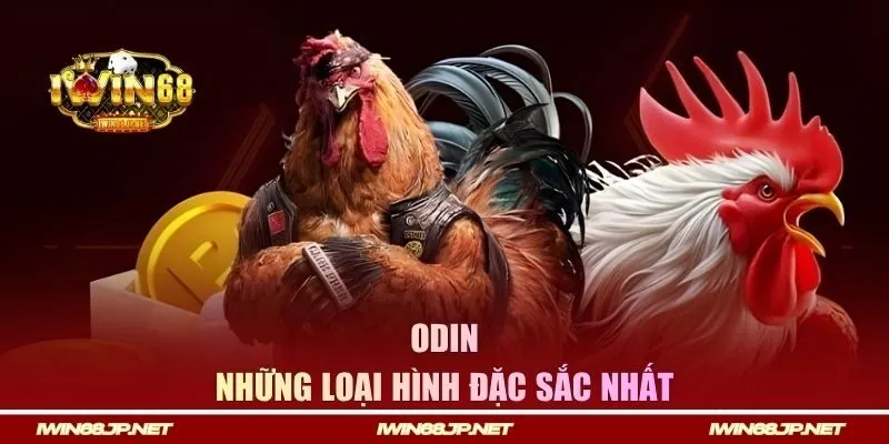Những loại hình đặc sắc nhất